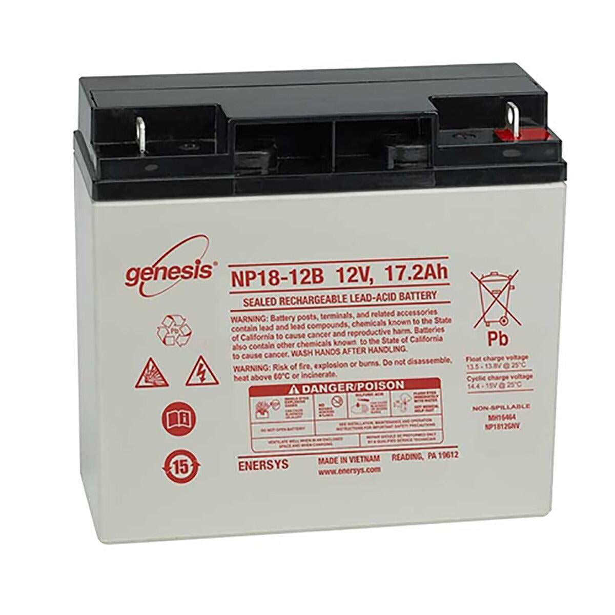 BATTERY KIT, 2 X NP18-12BFR Medical GE HEALTHCARE