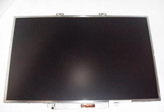 DEX LCD PANEL, 17.0" WXGA, X176G Information Technology DELL