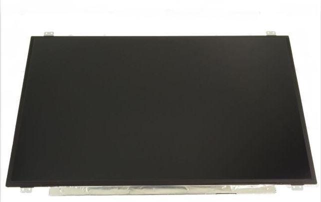 DEX LCD Panel, 17.3", 0Y9WG Information Technology DELL