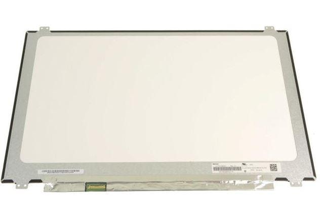 DEX LCD Panel, 17.3", 0Y9WG Information Technology DELL