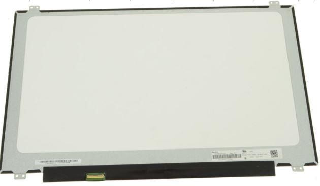 DEX LCD Panel, 17.3", 29JPY Information Technology DELL