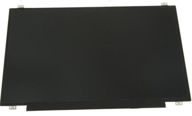 DEX LCD Panel, 17.3", 29JPY Information Technology DELL