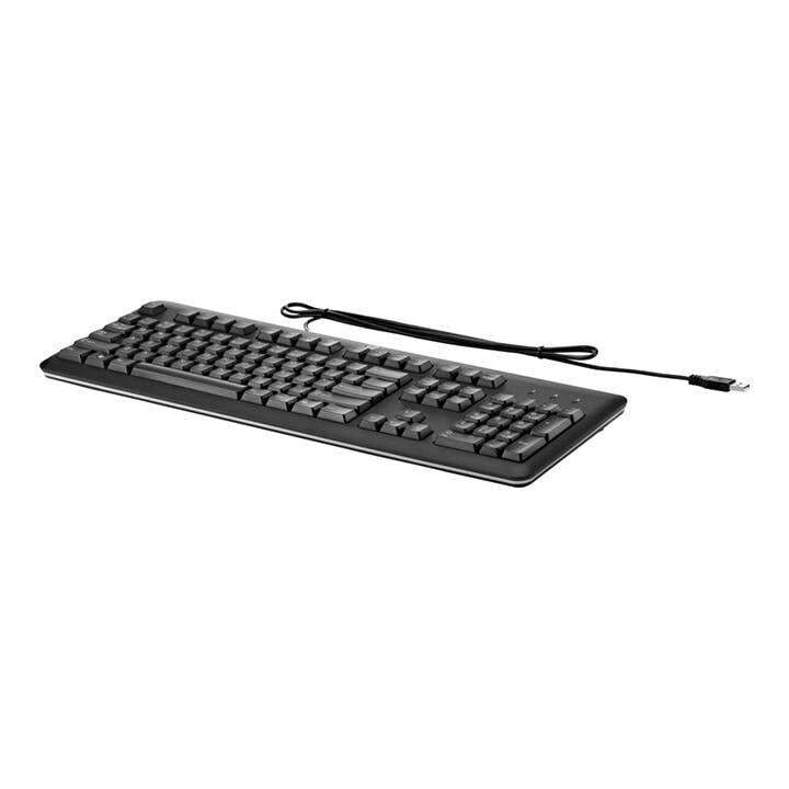 HEWLETT PACKARDKEYBOARD, USB NL-LAYOUT Information Technology DEX
