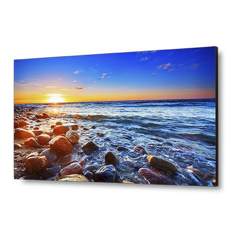 MONITOR, 55" LCD LED S-IPS 1920 X 1080 .63MM Information Technology NEC