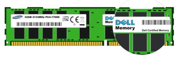 DIMM,8GB,5600,F7YCY,NS,BCC,A Information Technology DEX 