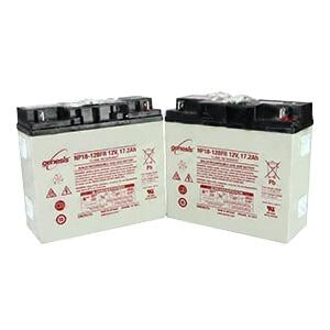 GENERAL ELECTRICBATTERY KIT, 2 X NP18-12BFR Medical DEX 