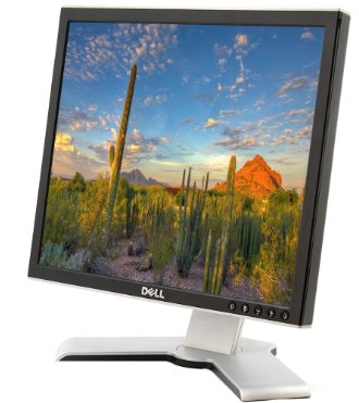GETRONICSFPM LCD 17" TFT 1707FP MG Information Technology DEX 