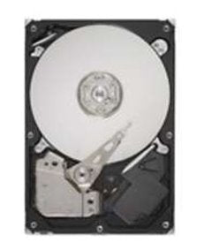 IBMHARD DRIVE, 160GB Information Technology DEX 