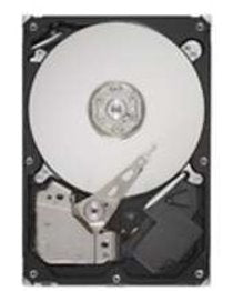 IBMHARD DRIVE, 320GB 5400RPM Information Technology DEX 
