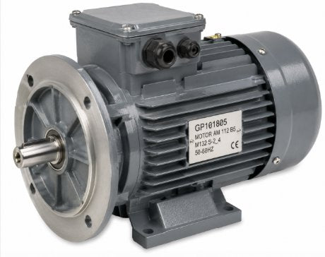 MOTOR AM 112 B5 M132 S-2_4 50-60HZ Renewable Energy DEX 