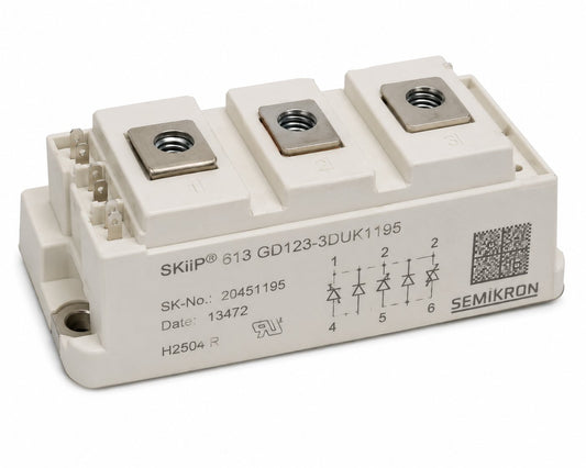 SKIIP 613 GD123-3DUK1195 - DEX